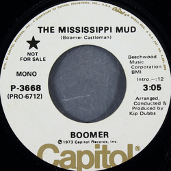 Boomer Castleman The Mississippi Mud Vinyl 7" USED