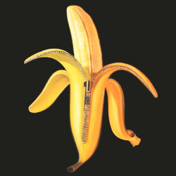 The Dandy Warhols Welcome To The Monkey House Vinyl LP USED