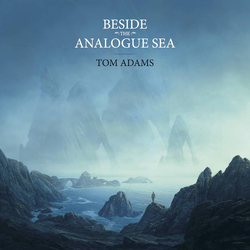 Tom Adams (11) Beside The Analogue Sea Vinyl LP USED