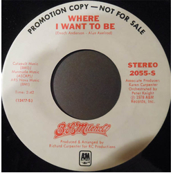 B. L. Mitchell Where I Want To Be Vinyl 7" USED
