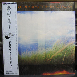 A Drop In The Gray Certain Sculptures Vinyl LP USED