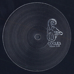 Commodity Place Not Ordinary Day Vinyl 12" USED