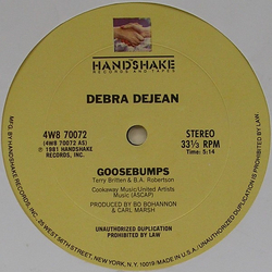 Debra Dejean Goosebumps Vinyl 12" USED