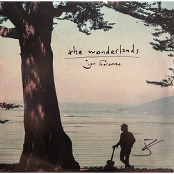 Jon Foreman The Wonderlands Vinyl 12" Box Set USED