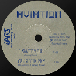 Aviation (7) I Want You Vinyl 7" USED