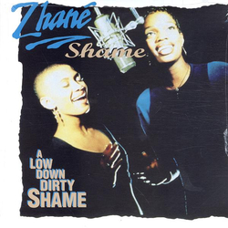 Zhané Shame Vinyl 12" USED