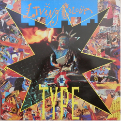 Living Colour Type Vinyl 12" USED