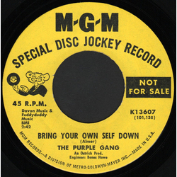 The Purple Gang (3) Bring Your Own Self Down / One Of The Bunch Vinyl 7" USED