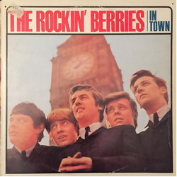 The Rockin' Berries In Town Vinyl LP USED