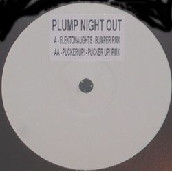 Elektronauten / Pucker Up! Plump Night Out Vinyl 12" USED