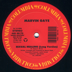 Marvin Gaye / Rodney Franklin Sexual Healing / The Groove Vinyl 12" USED