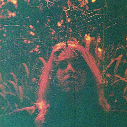 Turnover (3) Peripheral Vision Vinyl LP USED