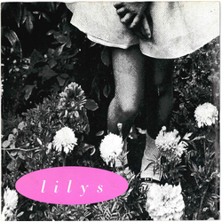 Lilys February Fourteenth / Threw A Day Vinyl 7" USED