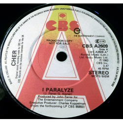 Cher I Paralyze Vinyl 7" USED