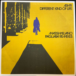 ASHRR Different Kind Of Life Vinyl 12" USED