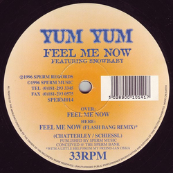 Yum Yum / Snowbaby Feel Me Now Vinyl 12" USED