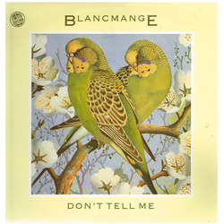 Blancmange Don't Tell Me Vinyl 12" USED