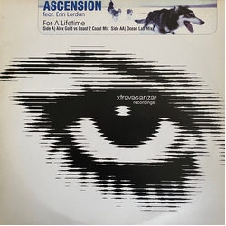 Ascension / Erin Lordan For A Lifetime Vinyl 12" USED