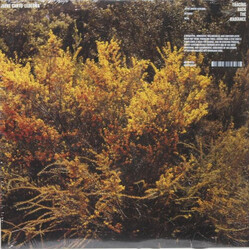 Jefre Cantu-Ledesma Tracing Back The Radiance Vinyl LP USED