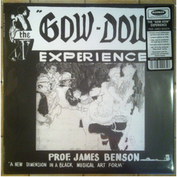 James R. Benson The Gow-Dow Experience Vinyl LP USED
