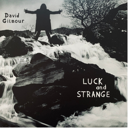 David Gilmour Luck And Strange Vinyl LP USED