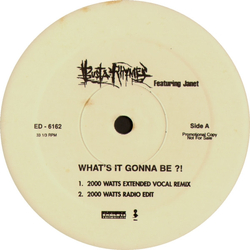 Busta Rhymes What's It Gonna Be?! Vinyl 12" USED