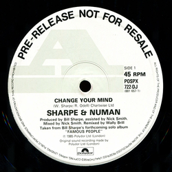 Sharpe & Numan Change Your Mind Vinyl 12" USED