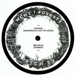 Mchy I Porosty Sigh EP Vinyl 12" USED