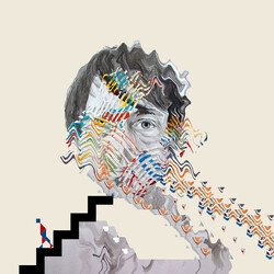 Animal Collective Painting With Vinyl LP USED