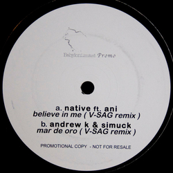 Native (7) / Ani (3) / Andrew K / Simuck Believe In Me / Mar De Oro (V-SAG Remixes) Vinyl 12" USED