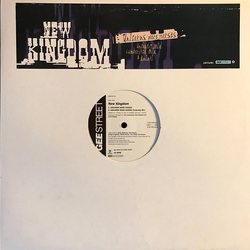 New Kingdom Unicorns Were Horses Vinyl 12" USED