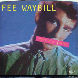 Fee Waybill You're Still Laughing Vinyl 7" USED