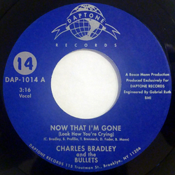 Charles Bradley / The Bullets Now That I'm Gone (Look How You're Crying) Vinyl 7" USED