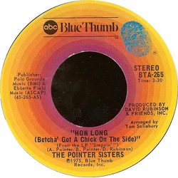 Pointer Sisters How Long (Betcha' Got A Chick On The Side) Vinyl 7" USED