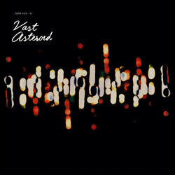 Vast Asteroid Vast Asteroid Vinyl 12" USED