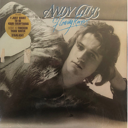 Andy Gibb Flowing Rivers Vinyl LP USED
