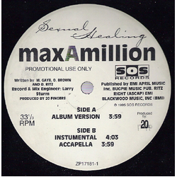 Max-A-Million Sexual Healing Vinyl 12" USED