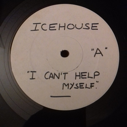 Icehouse Can't Help Myself Vinyl 12" USED