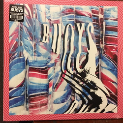 Panda Bear Buoys Vinyl LP USED