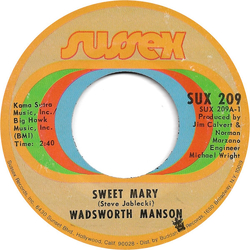 Wadsworth Mansion Sweet Mary / What's On Tonight Vinyl 7" USED