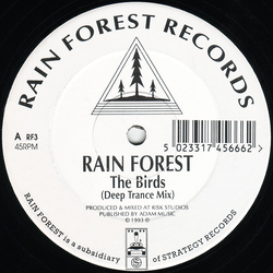 Rainforest The Birds Vinyl 12" USED