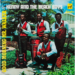 Kenny And The Beach Boys Good Morning Mr Walker Vinyl LP USED