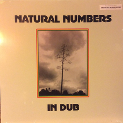 Natural Numbers (2) Natural Numbers In Dub Vinyl LP USED