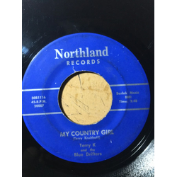 Terry K And The Blue Drifters Last Night I Dreamed Of You / My Country Girl Vinyl 7" USED