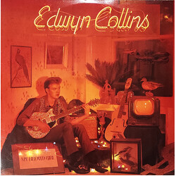 Edwyn Collins My Beloved Girl USED VINYL 12INCH 45 RPM SINGLE