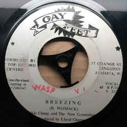 Jackie Chung / The Now Generation Breezing Vinyl 7" USED