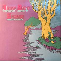 Skinshape Another Side of Skinshape Vinyl LP USED