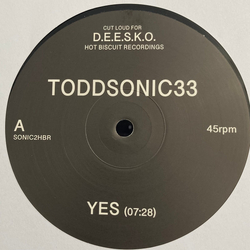 Toddsonic33 Yes Vinyl 12" USED