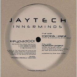 Jaytech Innerminds Vinyl 12" USED
