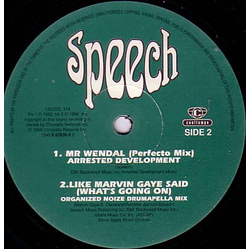 Speech Like Marvin Gaye Said (What's Going On) Vinyl 12" USED